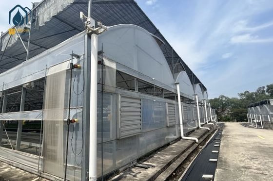 Ein guter Preis. Mehrspannenanbau Hydroponisches System Gewächshaus für das ganze Jahr über Online