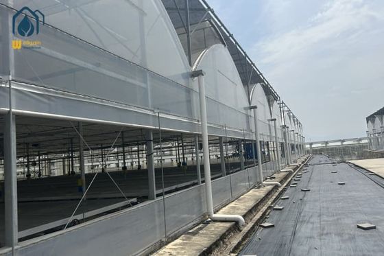 Giá tốt. Các cây trồng hữu cơ đa dải trồng nhà kính với các giải pháp tiết kiệm nước trực tuyến