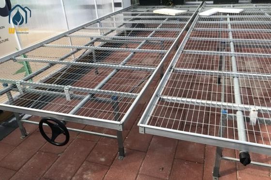Ein guter Preis. Innenräumige Gewächshaus Wire Mesh Samenbank Höhenverstellbar Kindergarten Samenbank Rollbank Online