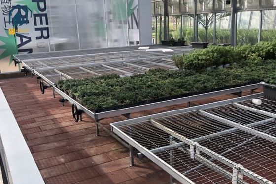 Ein guter Preis. Pflanzenanbau Gewächshaus Rollbank System Galvanisierte Baumschulen Anbau Saatbett Online