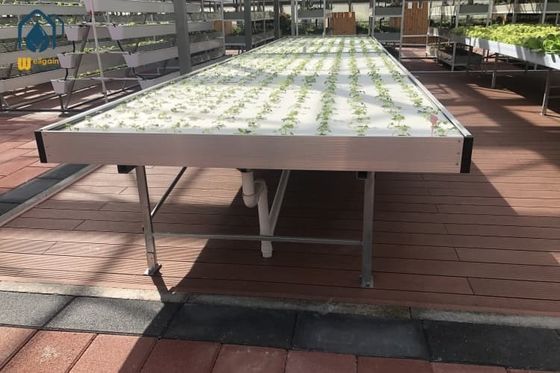 Ein guter Preis. Bewegliche Ebbe- und Flow-Rollbänke 4x4 4x8 Gewächshaus-Hydroponische Fluttabellen Online