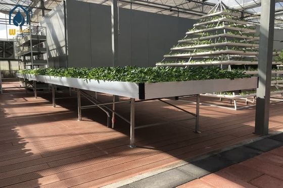 Giá tốt. ABS nhựa Ebb And Flow Rolling Benches Rút nước Hydroponic Grow Trays Bàn lụt trực tuyến