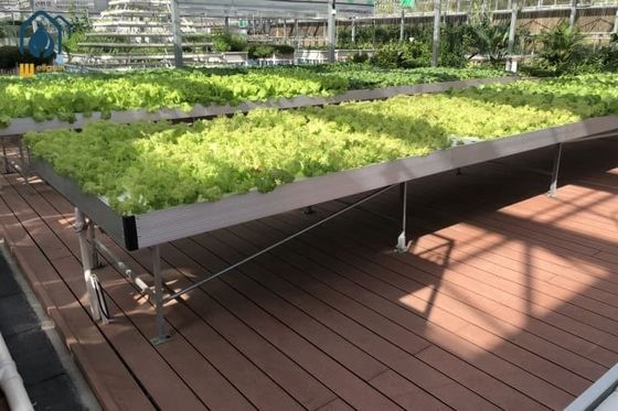 Good price Agricultural Ebb Flood Rolling Bench Indoor Farming Grow Tables For Greenhouse online
