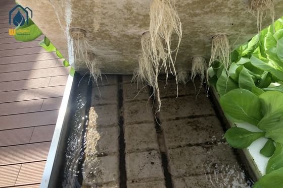 Good price Agricultural Ebb And Flow Rolling Benches Movable Nursery Seedling Trays online