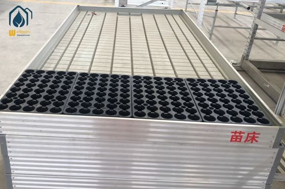 Giá tốt. Bàn lăn Ebb And Flow thương mại Hydroponics Thang trồng nhà kính trực tuyến