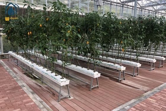 Good price Vegetables PVC Drainage Substrate Planting Gutter Troughs Hydroponic Trough System online