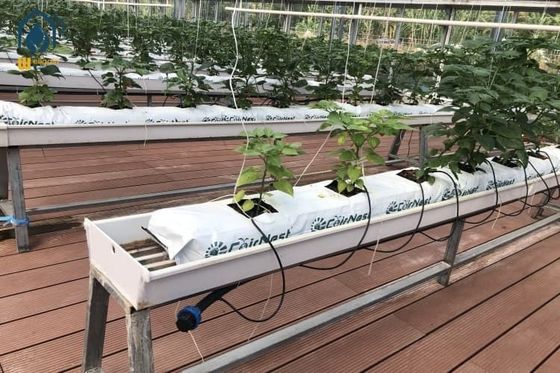 Ein guter Preis. Hydroponische PVC-NFT-Vertikalsubstratpflanzungs-Rinnen-Anbausystem für Tomaten Online