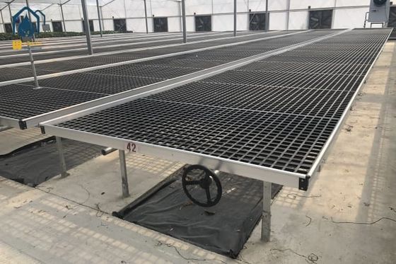 Ein guter Preis. Feststoff-Stickstoff-Säen-Tray/Roll-Grow-Tray mit Schweißdrahtnetz Online
