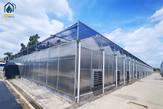 Good price Crop Growth Polycarbonate Greenhouse With Snow Resistant Aluminum Frame online