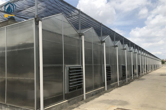 Ein guter Preis. Anpassungs-Polycarbonat-Panel Gewächshaus Ganzjähriges Gemüsegewächshaus Online