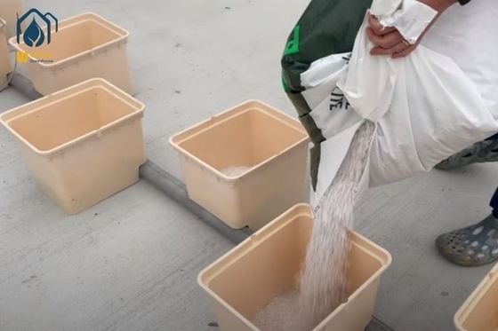 Ein guter Preis. Lebensmittelqualität PP Hydroponisches Pflanzensystem 11L Niederländisches Eimersystem für den Anbau von Gemüse Online