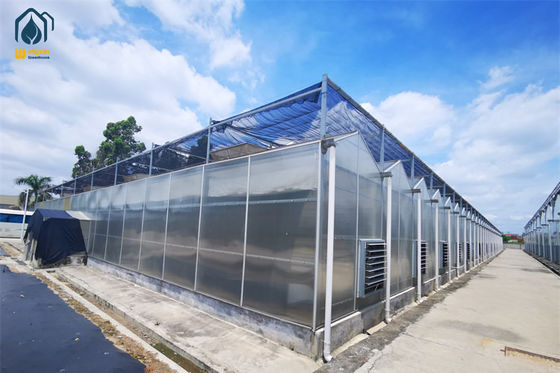 Ein guter Preis. Dauerhaftes Polycarbonat-Gewächshaus mit Stahlrahmen für die Wintergemüseproduktion Online