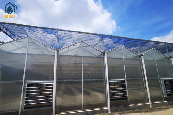 Ein guter Preis. Hochleistungslandwirtschaft Polycarbonat Gewächshaus Obst und Gemüse Gewächshaus Online
