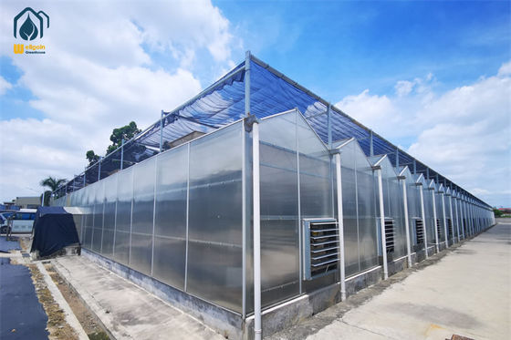 Good price Rust Resistant Polycarbonate Greenhouses For Herb Cultivation And Hydroponics System online