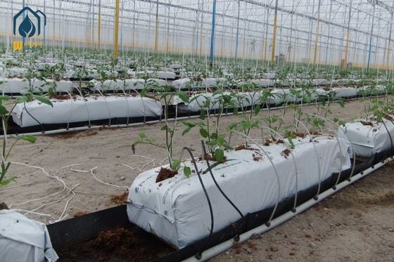 Un bon prix. Plantation de canaux de drainage en rouleaux de PP sans sol hydroponique rectangulaire en ligne