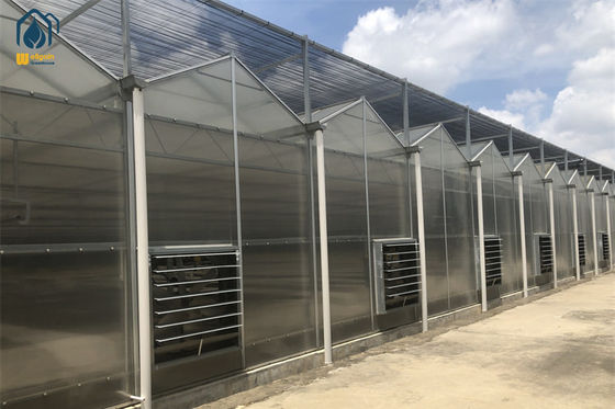 Ein guter Preis. Pflanzengeschäft Polycarbonat-Gewächshaus für den ökologischen Gemüseanbau Online