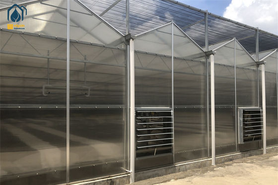 Ein guter Preis. Bio-Kräuter Gewächshaus Polycarbonat Polyhaus mit automatisierten Klimasystemen Online