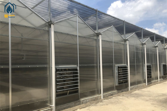 Ein guter Preis. Hochisoliertes Polycarbonat Landwirtschaft Gewächshäuser Landwirtschaft Polyhaus Online