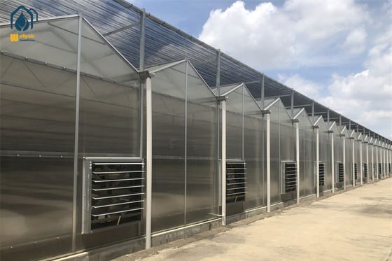 Good price Heavy Duty Polycarbonate Polyhouse Greenhouse Customizable For Reducing Water Usage online