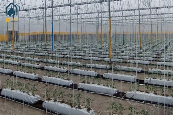 Ein guter Preis. Cocopeat Hydroponische Wachstumsgruben für den Anbau von Rosen Tomaten Gemüse Online