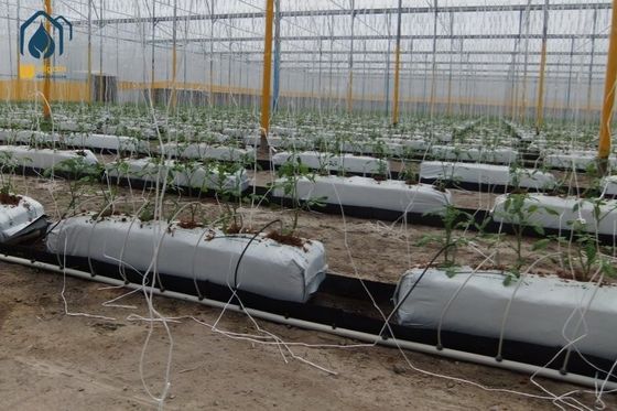 Ein guter Preis. Hydroponik Pflanztrog PP Roll Drain Spacer Klapppflanzer Rinnen für die Landwirtschaft Online