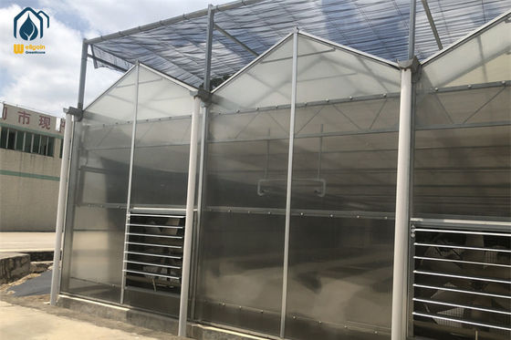 Ein guter Preis. Ökologische Pflanzenhaltung Polycarbonat Gewächshaus Innengemüse Gewächshaus Online