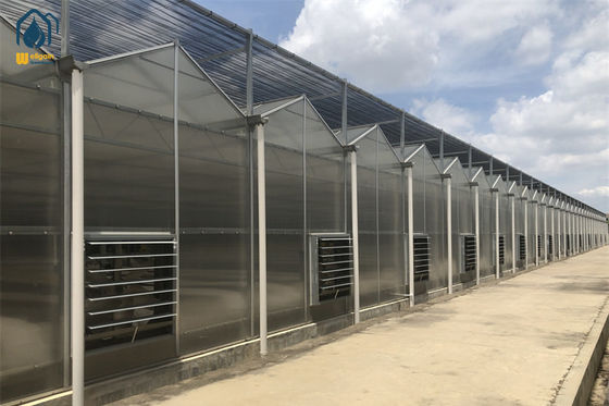 Ein guter Preis. Indoor Farming Polycarbonat-Gewächshaus für schnell wachsende Pflanzen Online