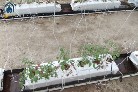 Giá tốt. Nhà kính không đất PP Roll Grow Troughs Gập trồng cống cống cỏ cây Cocopeat trực tuyến