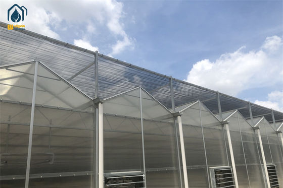 Ein guter Preis. Doppelwand PC Polycarbonat Gewächshaus Landwirtschaft Stahlrahmen Gewächshaus Online