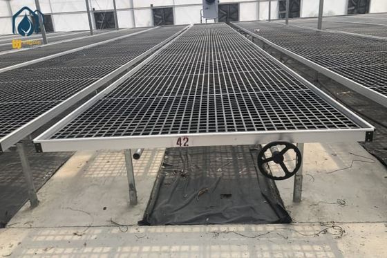 Giá tốt. Quảng trường hoa phong lan nhựa nồi nồi nấm nấm nấm nấm nấm nấm nấm nấm nấm nấm nấm nấm trực tuyến