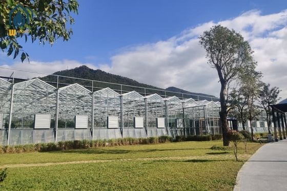 Ein guter Preis. Großflächige Glas-Multi-Span-Gewächshausstruktur Landwirtschaftliche Tomatenzüchtung Gewächshaus Online