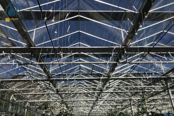 Ein guter Preis. Landwirtschaft Gemüse Blumen Glas Gewächshaus Landwirtschaft Gewerbliche Gewächshausstrukturen Online