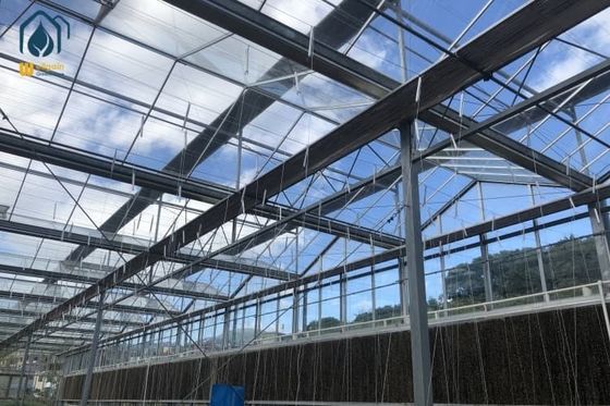 Ein guter Preis. Multi-Span Landwirtschaftliche große Glas Gewächshaus Produktionsausrüstung für Tomaten Online