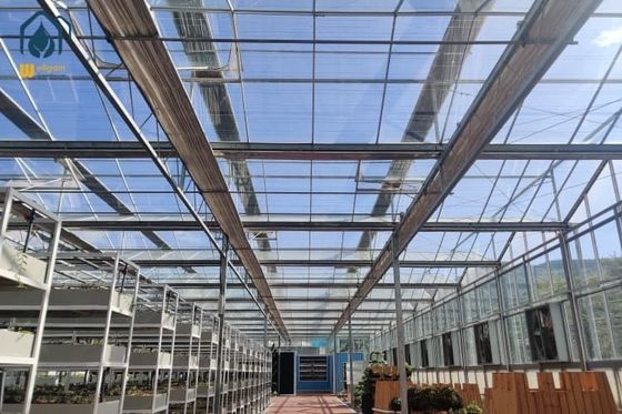 Ein guter Preis. Hydroponisches transparentes Glas Gewächshaus für Pflanzen mit Lüftungskühlsystem Online