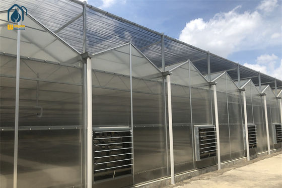 Giá tốt. Nông nghiệp thương mại Nhà kính polycarbonate với kiểm soát khí hậu chính xác trực tuyến