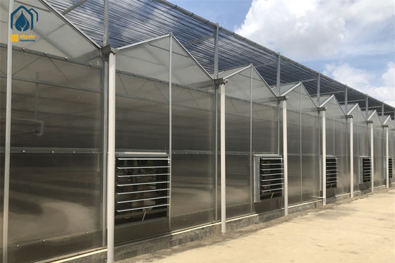 Ein guter Preis. Schwerbetriebsfähige Smart-Cultivation Polycarbonat-Gewächshaus automatisierte hydroponische Gewächshaus Online