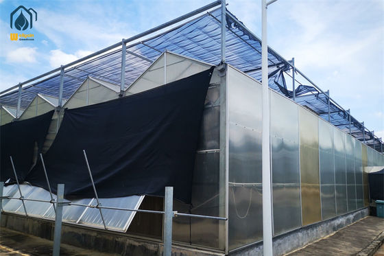 Giá tốt. Nông nghiệp thương mại Nhà kính tấm polycarbonate PC tấm nhà kính trực tuyến