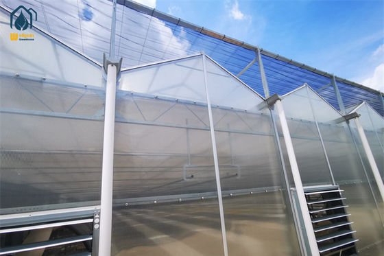 Ein guter Preis. Große Landwirtschaftliche Tunnel PC Gewächshaus Polycarbonat Gemüseanbau Gewächshaus Online