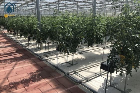 Ein guter Preis. Landwirtschaftliche Substratpflanzung Rinnen Stahl groß angelegtes hydroponisches Pflanzsystem Online