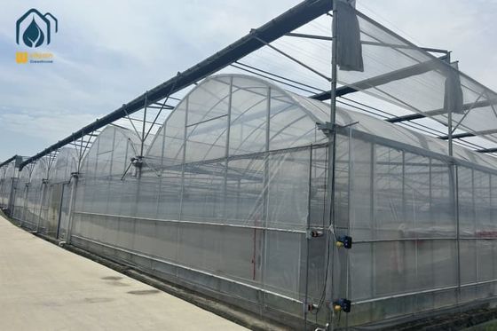 Good price Multi Span Greenhouse With Ventilation & Cooling, Custom Designs For Modern Farms online