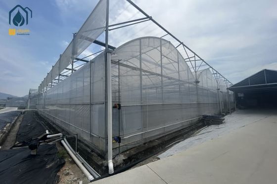 Good price Multi Span Greenhouse Solar Energy Systems For Sustainable Ecofriendly Farming online