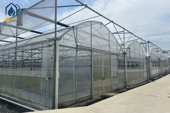 Good price Multi Span Greenhouse Construction For Sustainable Farming And Soil Free Farming online