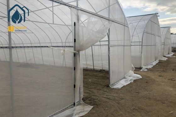 Ein guter Preis. Handelsgewerbliche Einfachspannung Hochtunnel Tomaten Kunststoff Agrargewächshäuser Online