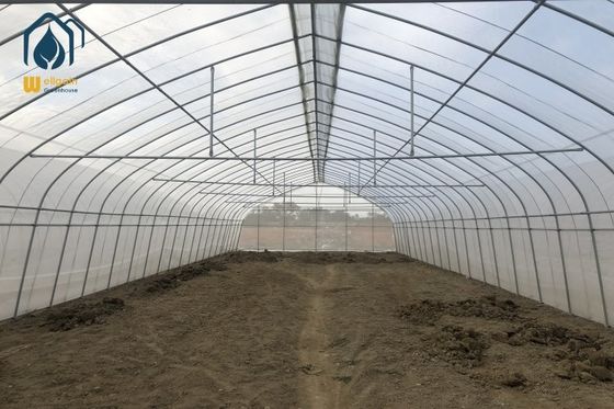 Хорошая цена. Farming Plastic Green House Metal Frame Structure Single Span High Tunnel Agriculture Greenhouse For Plants онлайн