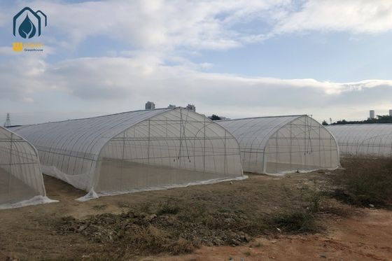Хорошая цена. Tunnel Greenhouse Agricultural Greenhouses Industrial Hydroponic For Tomato And Cucumber онлайн