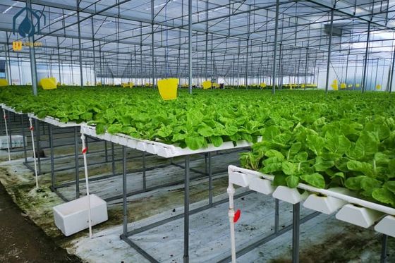 Good price Indoor Vertical Farming NFT Hydroponic System PVC Tube Growing System online
