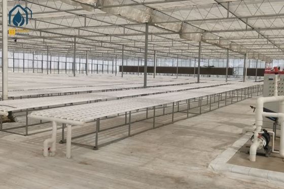 Qualität NFT Hydroponisches Rohr- und Pipeline-System für effizienten Gemüseanbau usine