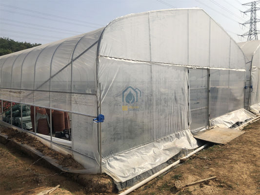 Good price Long Life Span PE PO Plastic Film Roll Up Vents Tunnel Green Houses for Agriculture online