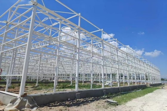 Καλή τιμή. Hot-Dip Galvanized Structure Multi-span Plastic Film Greenhouse For Planting Blueberry σε απευθείας σύνδεση