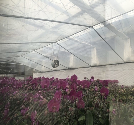 좋은 가격 Outdoor Green House Metal Frame Farming Agriculture Commercial Large Multi-span Plastic Greenhouse For Plants 온라인으로
